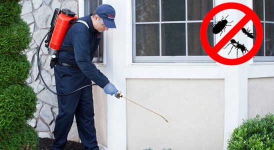 Malazgirt Fare İlaçlama böcek ilaçlama ve haşere kontrolü — ilaclama-tr.com